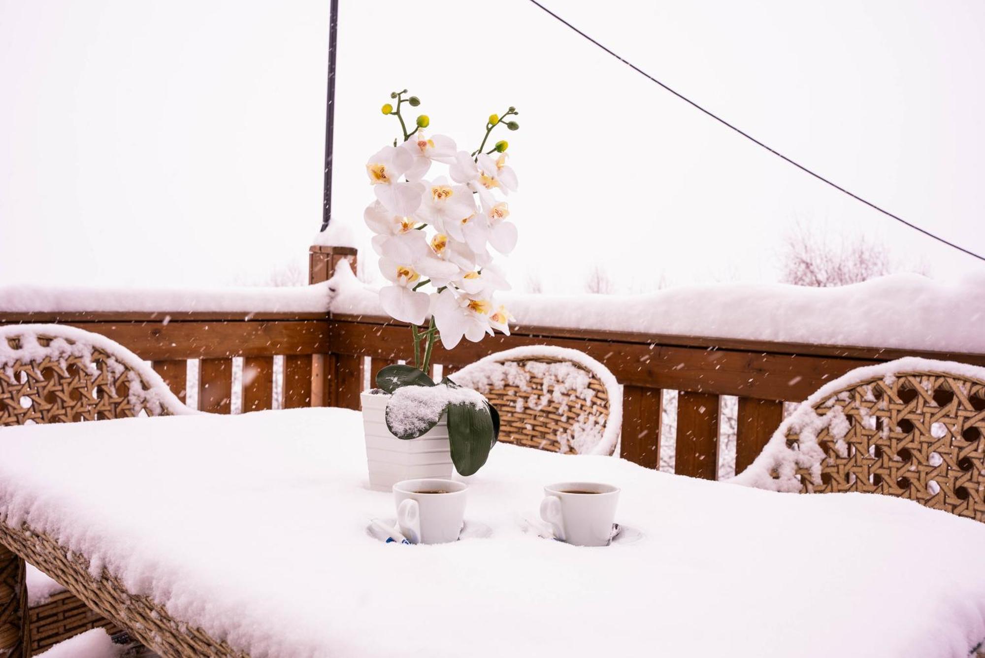 Gudauri Inn Εξωτερικό φωτογραφία Snow in Jerusalem